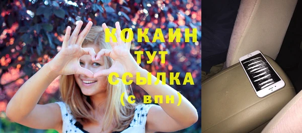 гидра Покачи