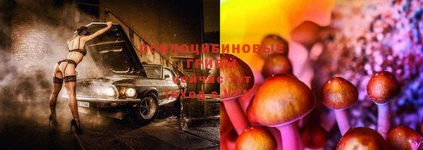 эйфоретик Арсеньев